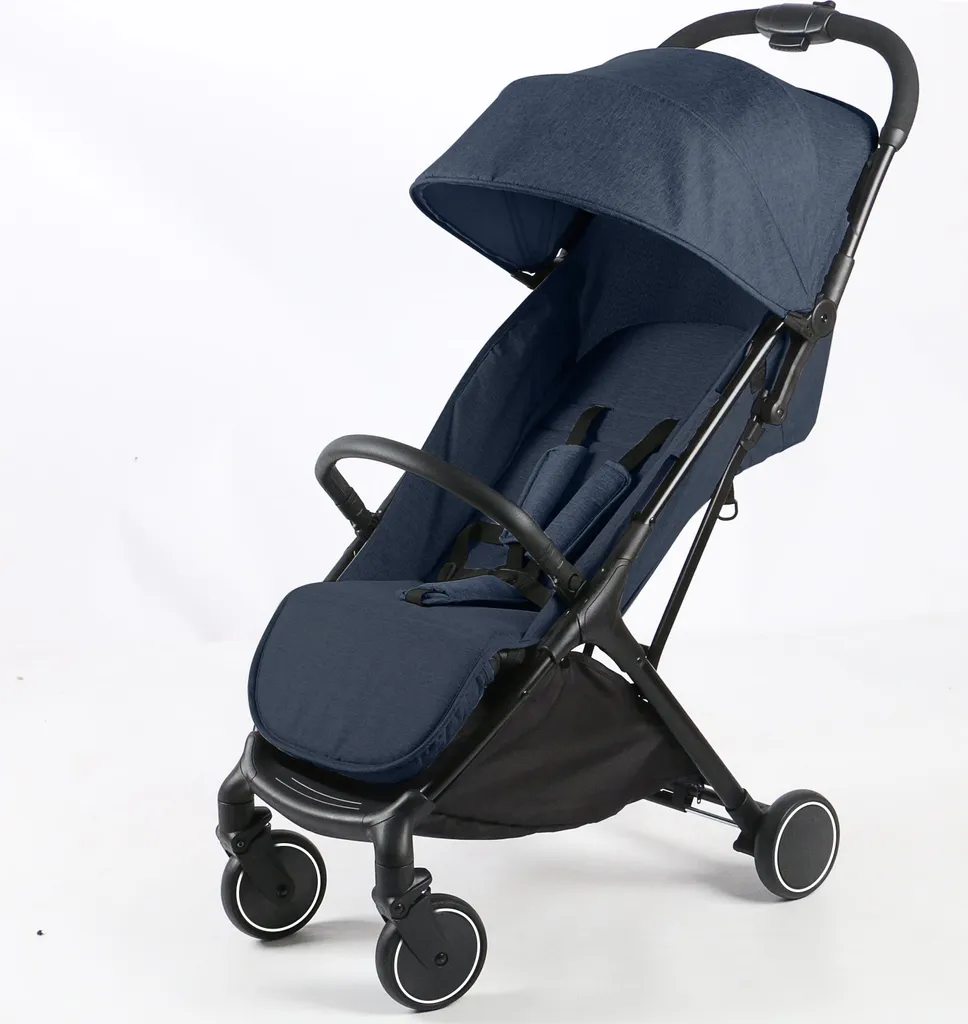 Poussette Enfant Légère avec Dossier Réglable et Repose-pieds - Bleu