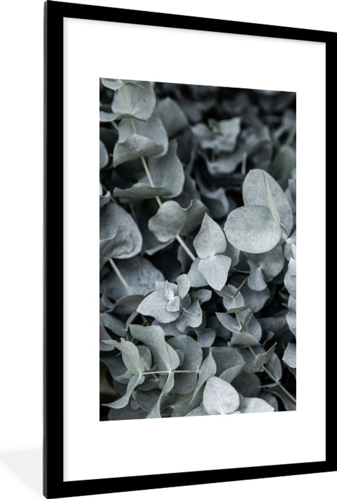 MuchoWow Gerahmtes Poster Natur - Pflanzen - Eukalyptus - Blätter 60x90 cm - Poster mit Schwarzem Bilderrahmen Wandposter Rahmen Foto Bilder - D...