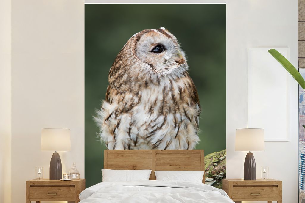 MuchoWow Fototapete für Wohnzimmer oder Schlafzimmer Wandtapete Vinyl Motivtapete Ein Waldkauz schaut zur Seite - 225x350 cm - Schlafzimmer tapete