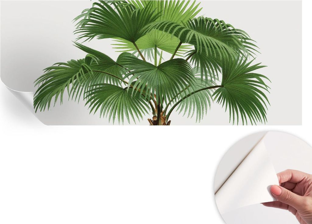 Selbstklebende Wandtapete - Dekorative Tapete für Wohnzimmer - Klebefolie für Wandbilder - Tapetenfolie für Wanddekoration - 208x146 cm - Exotis...