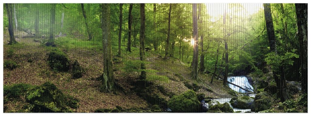 Wallario Duschmatte Antirutschmatte Badmatte Fußmatte Fließender Bach im Wald bei Sonnenuntergang, Größe ca. 180 x 65 cm