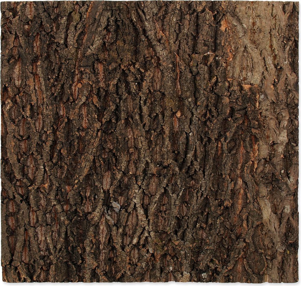 Sfondo in sughero naturale 58,5 x 56 x 2 cm 1 pezzo Immagine del prodotto 