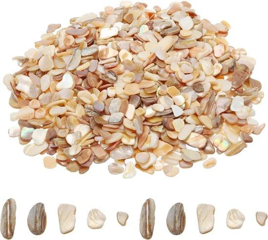 Sable de Coquillages Broyés 1kg pour Déco de Table et Loisirs Créatifs