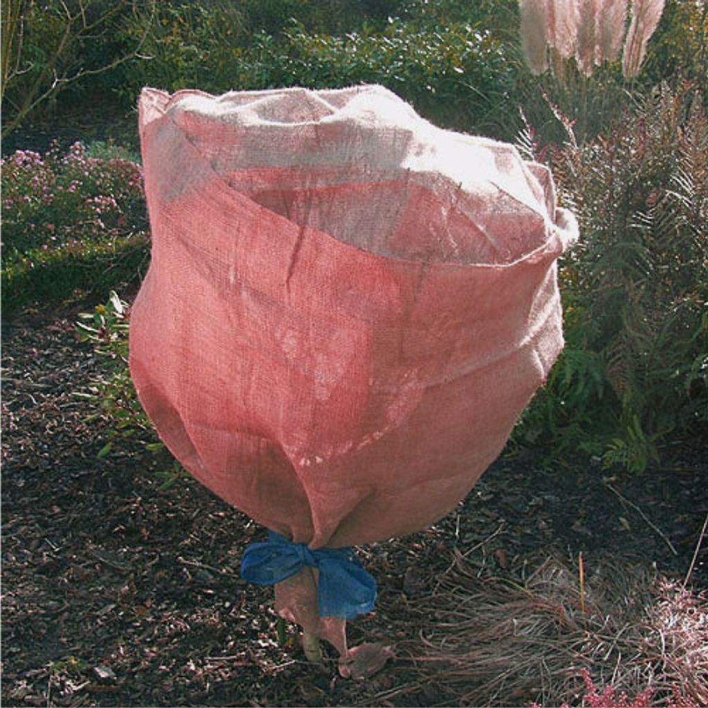 Winterschutz 105x500mm rot Frostschutz Vlies Jute Schutzvlies Pflanzenschutz