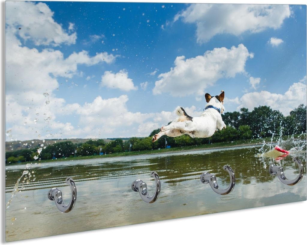 Wallario Schlüsselbrett aus Glas, Motiv: Jack Russel Terrier im Wasser, 30 x 20 cm mit 4 Haken
