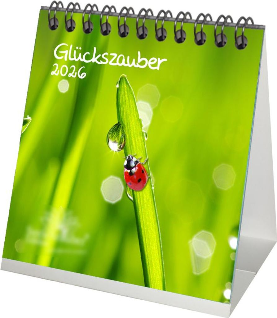 Glückszauber Tischkalender 10cm x 10cm für Glück Klee Schwein - Geschenkset Inhalt: 1x Kalender 1x Weihnachtsanhänger 1x Grußanhänger (gesamt...