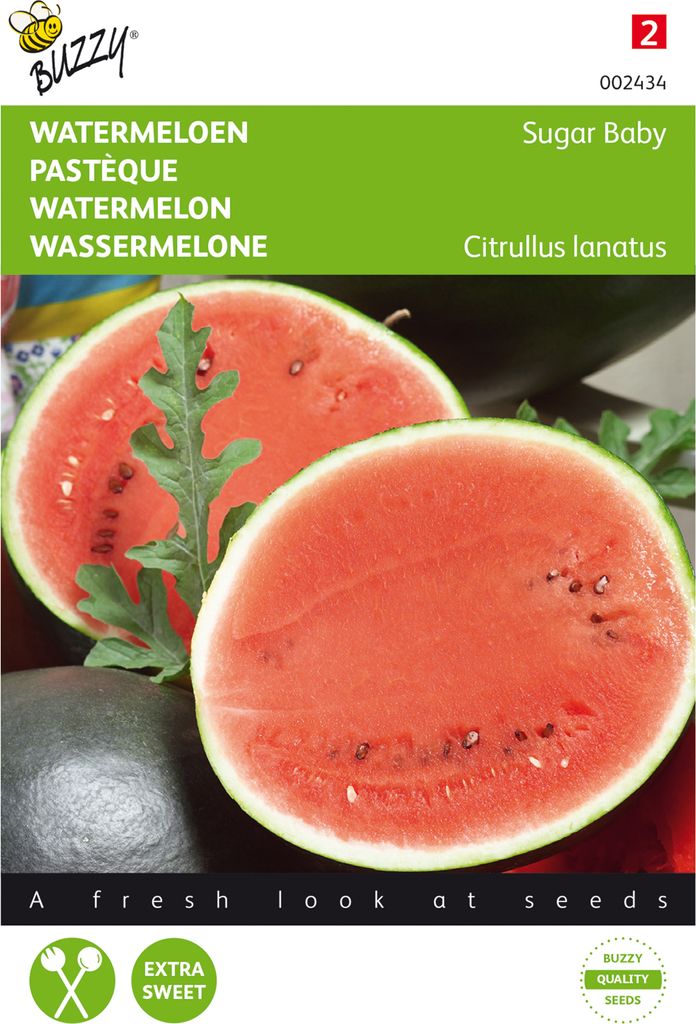Wassermelone Sugar Baby | Wassermelonensamen von Buzzy Seeds