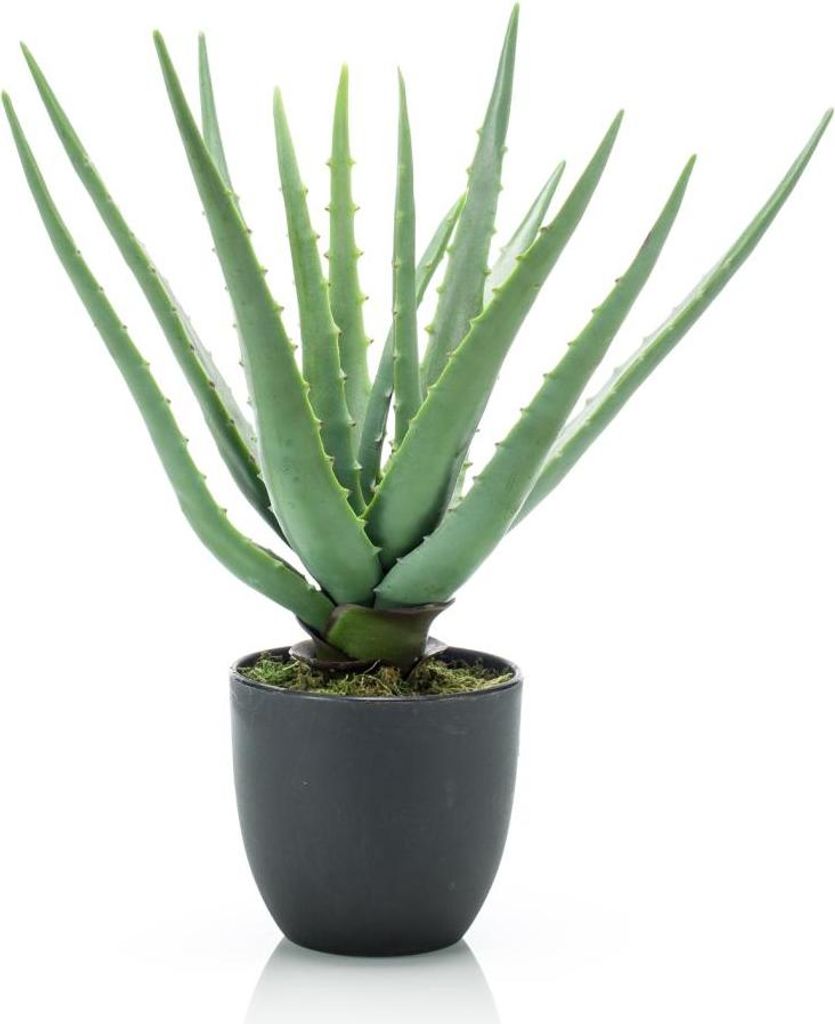artplants.de Künstliche Aloe Vera EVELIO im Dekotopf, 35cm - Kunststoff Sukkulente