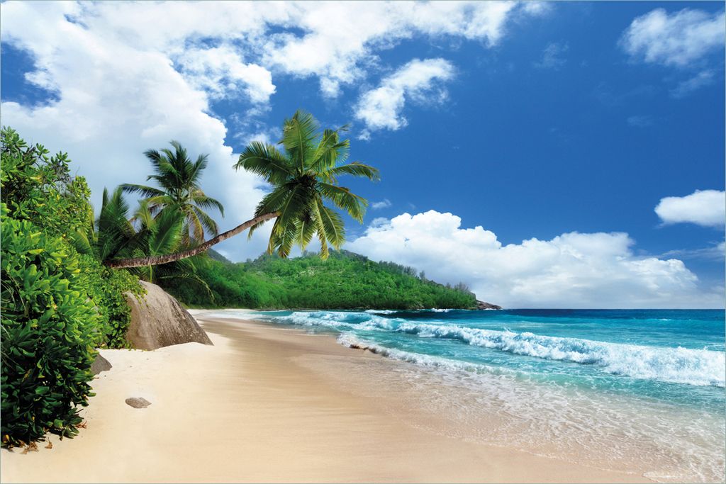 Wallario selbstklebendes Poster - Urlaub auf den Seychellen unter Palmen am Sandstrand, Größe: 61 x 91,50 cm