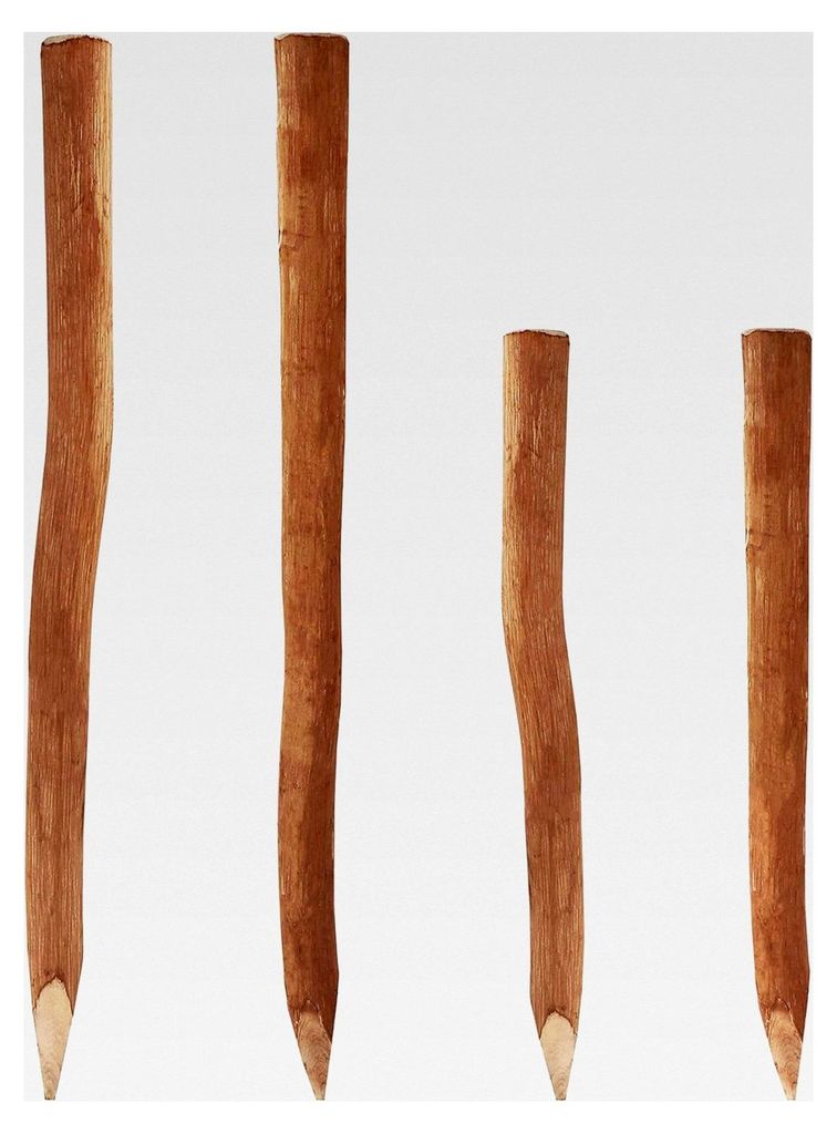 Holzpfosten für Staketenzaun aus Haselnuss - Langlebiger Stützpfosten und Rankhilfe - Vielseitiger Holzpfosten - Naturprodukt - Verschiedene Grö...