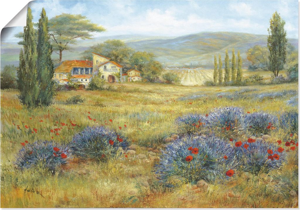 ARTland Poster Provence Lavendelwiese Größe: 70x50 cm Produktbild 
