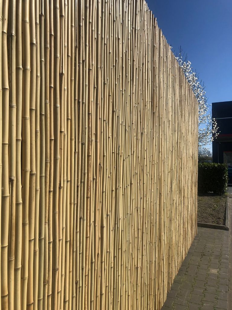 Sichtschutz Aus Bambus Rollzaun ATY NATURE Kaufland de