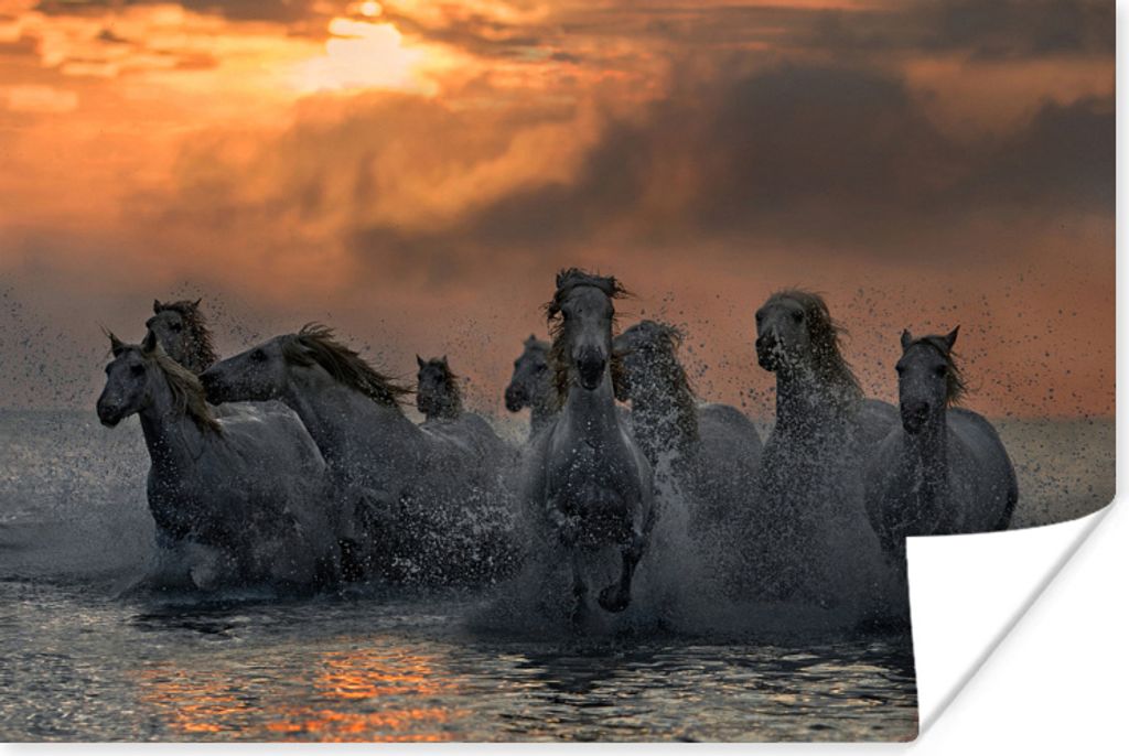MuchoWow Poster Pferde - Herde - Meer 30x20 cm - Plakate - Print