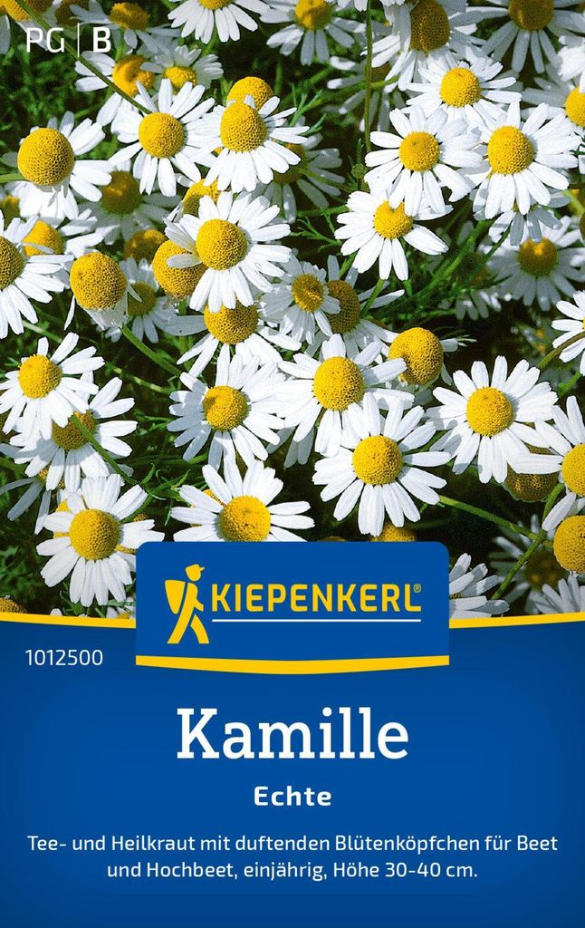 Kiepenkerl Kamillesamen Echte Matricaria chamomilla 200 Produktbild 