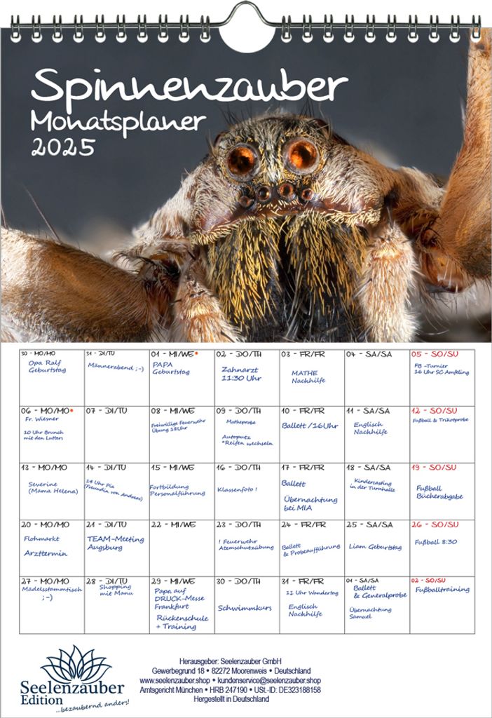 Spinnenzauber Planer DIN A4 Kalender für 2025 - Seelenzauber