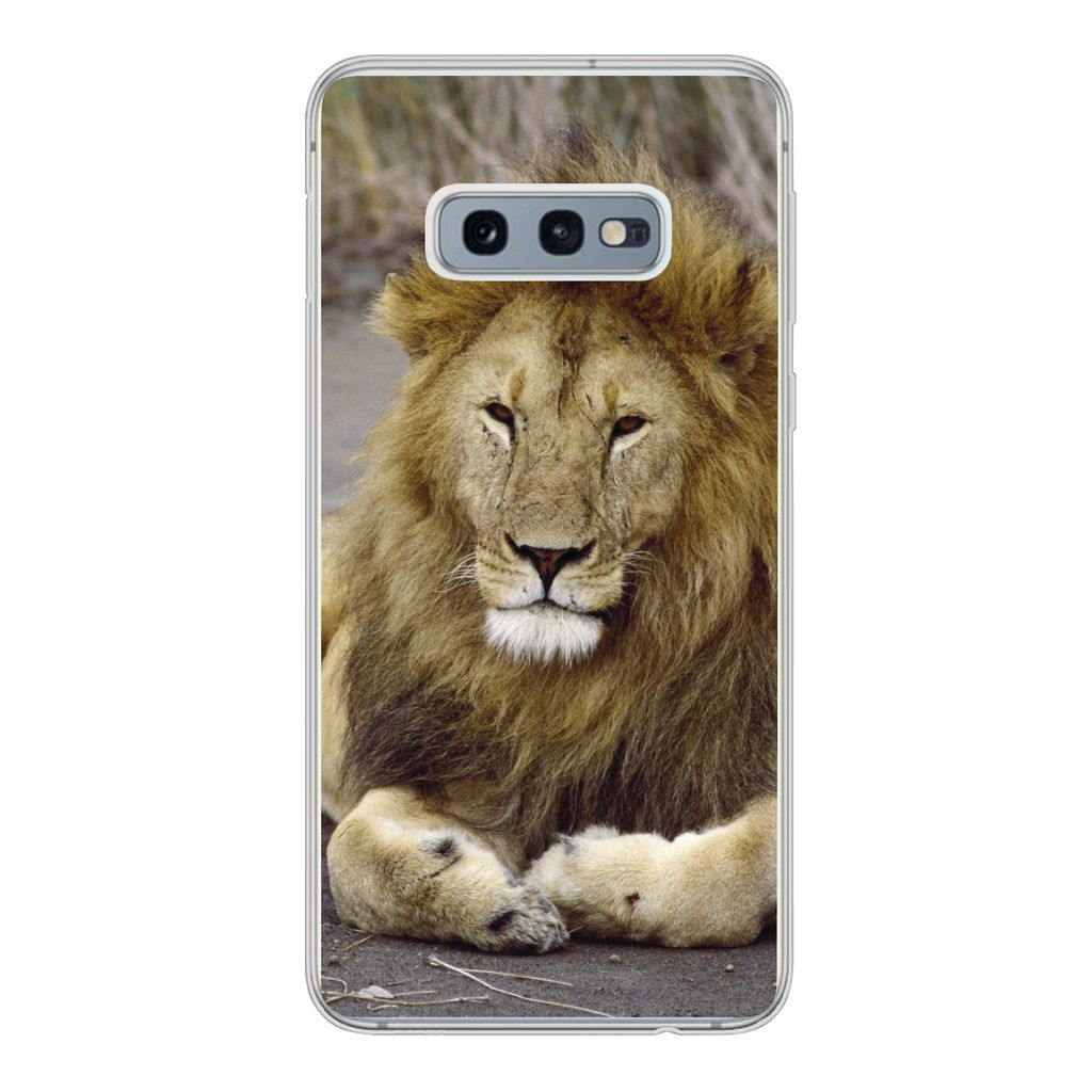 MuchoWow Handyhülle Schutzhülle Hülle für Samsung Galaxy S10e Löwe - Afrika - Tier Silikon Softcase Handy Hülle - Handy