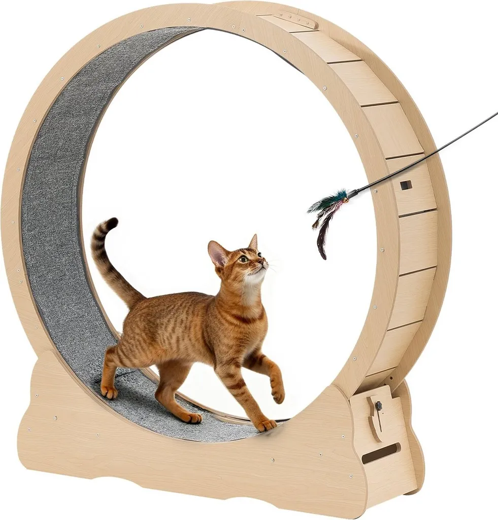 Roue pour chat anti-stress et silencieuse - Bois naturel 120 cm