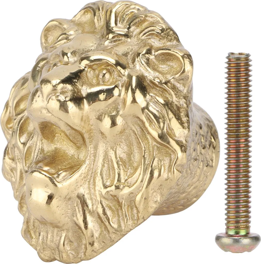 Pomelli Armadio in Ottone | Maniglia Cassetto Design Cucina