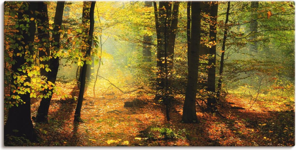 ARTland Leinwandbild Herbstlicht im Wald Größe: 60x30 cm Produktbild 