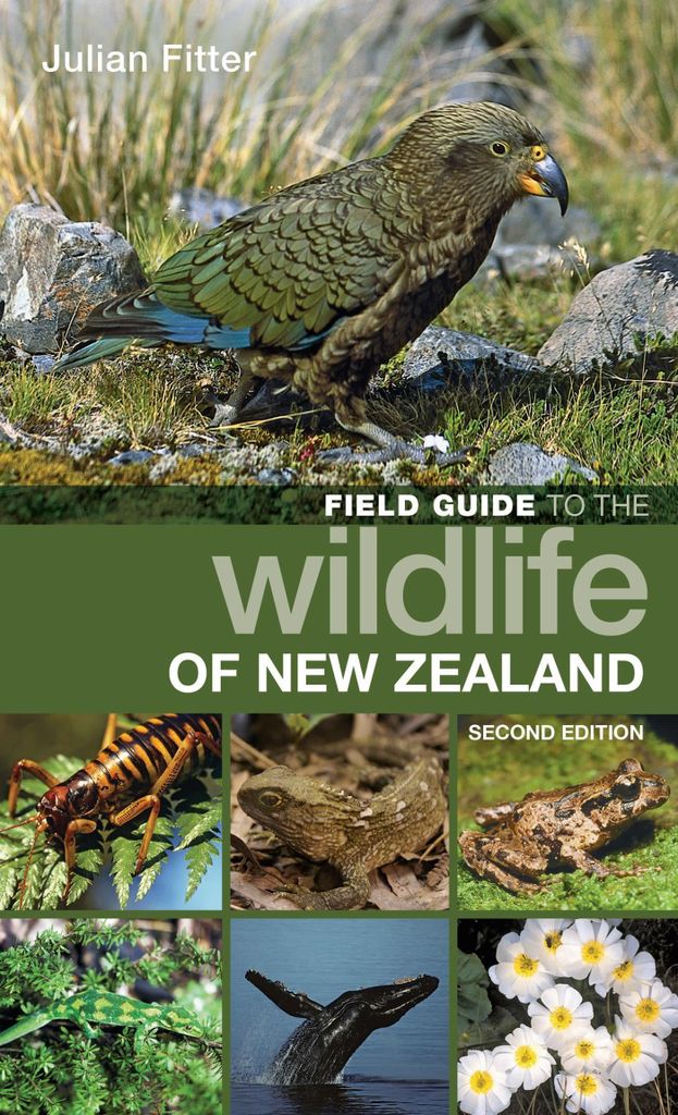 Field Guide To The Wildlife/new Zealand – Lingua: Inglese