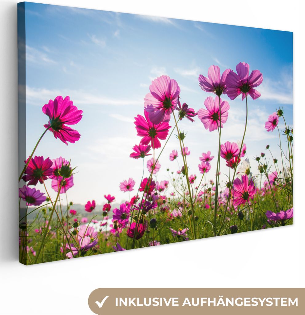 MuchoWow - Leinwandbilder - Blumen - Rosa - Cosmea, Wandbild, Wanddeko Bilder Wohnzimmer, 120x80 cm