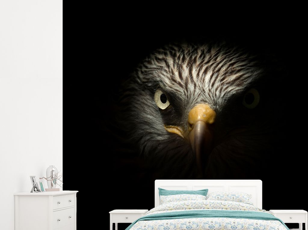 MuchoWow Fototapete für Wohnzimmer oder Schlafzimmer Wandtapete Vinyl Motivtapete Vogel - Adler - Raubvögel - Auge - Schnabel - Licht - 245x220...
