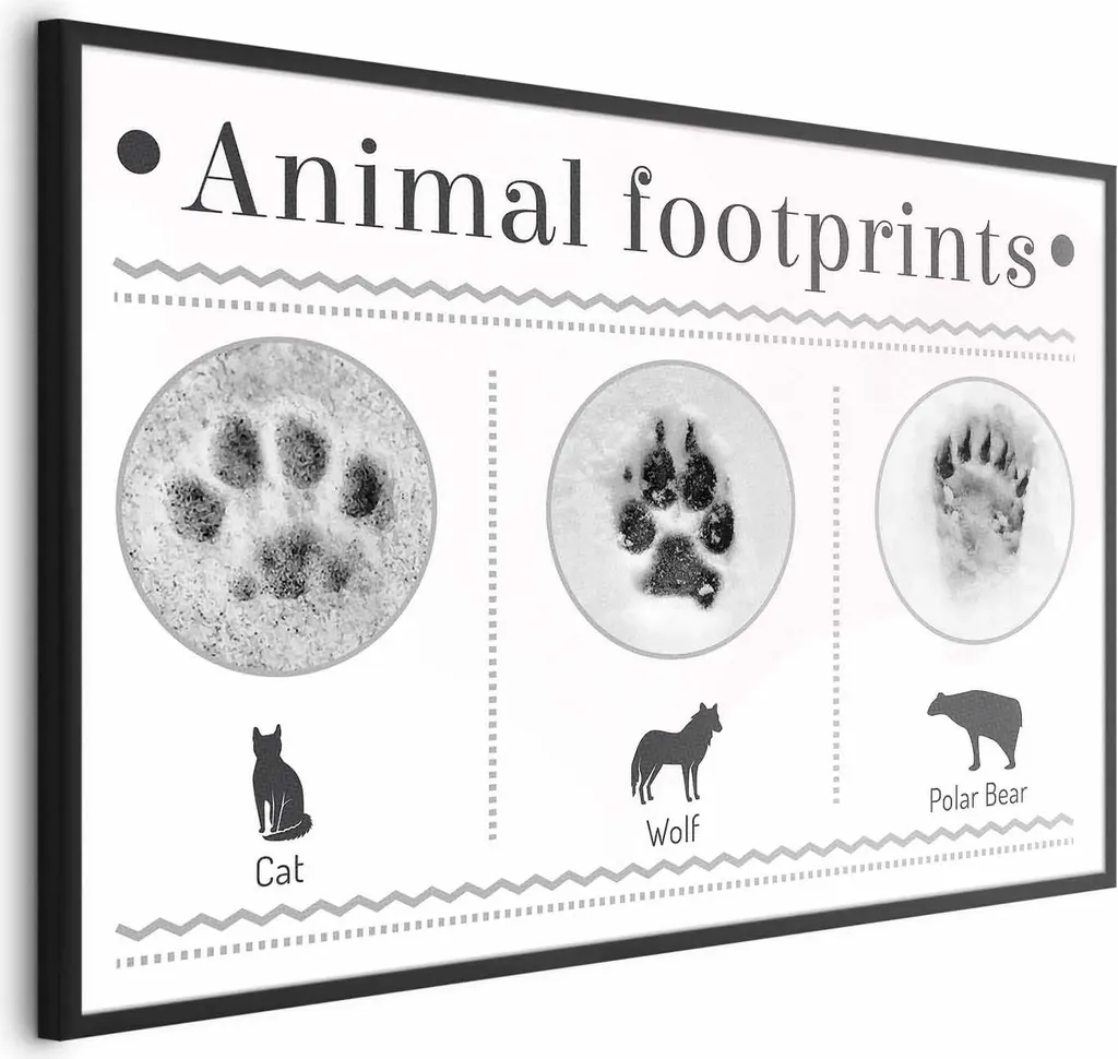 Poster Zampa 90x60 con Cornice Nera Senza Margini - Quadro Arredo Moderno