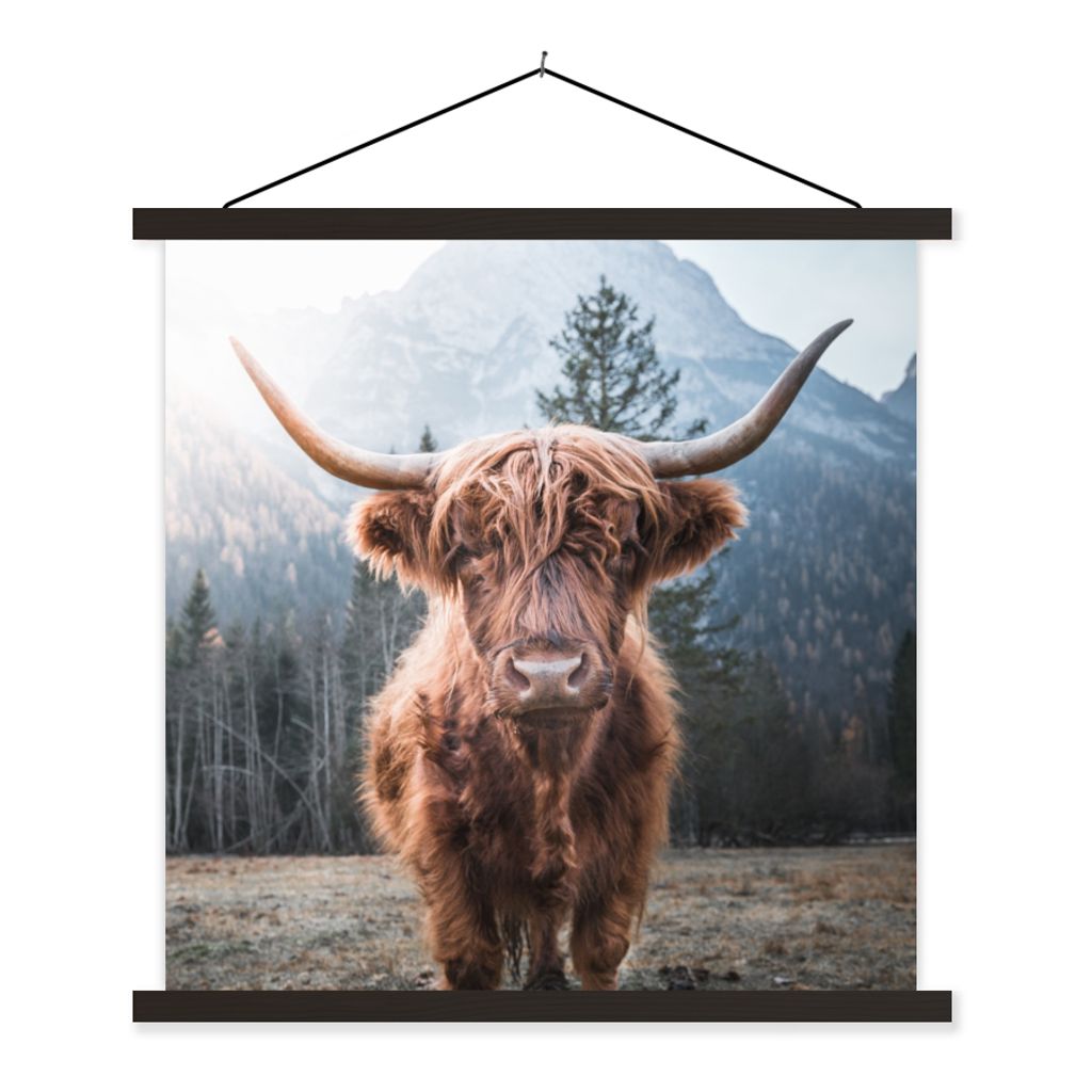 MuchoWow Textilposter Schottischer Hochländer - Kuh - Tiere - Berg - Natur 60x60 cm mit schwarzem Rahmen - Posteraufhänger
