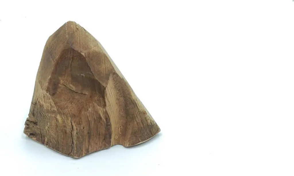 Os Briar Root en bois de bruyère résistant pour chien format S - 6