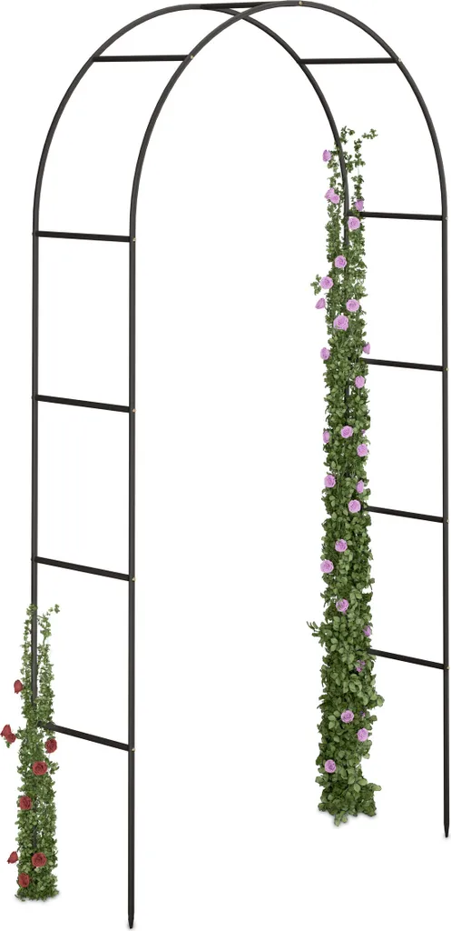 Tuteur Arceau de Jardin 240 cm Noir Résistant pour Roses et Plantes