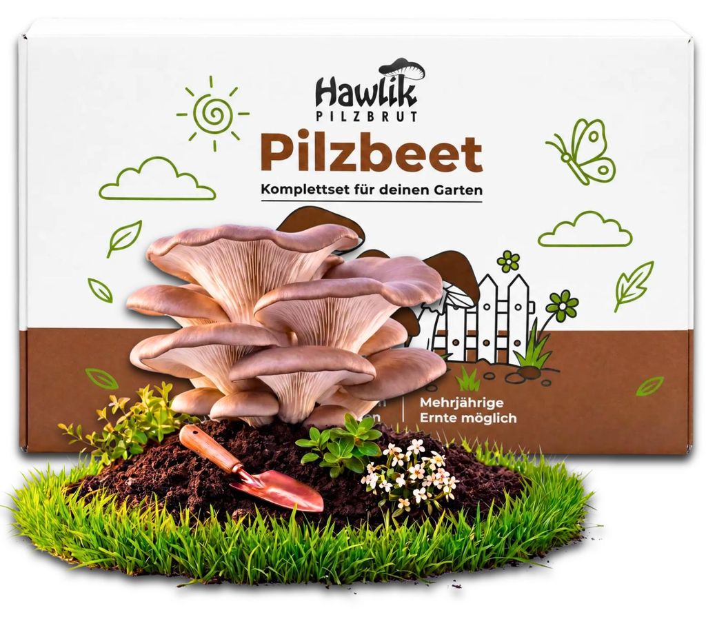 Hawlik Pilzbrut Austernpilz Pilzbeet-Set – Pilzzucht Produktbild 