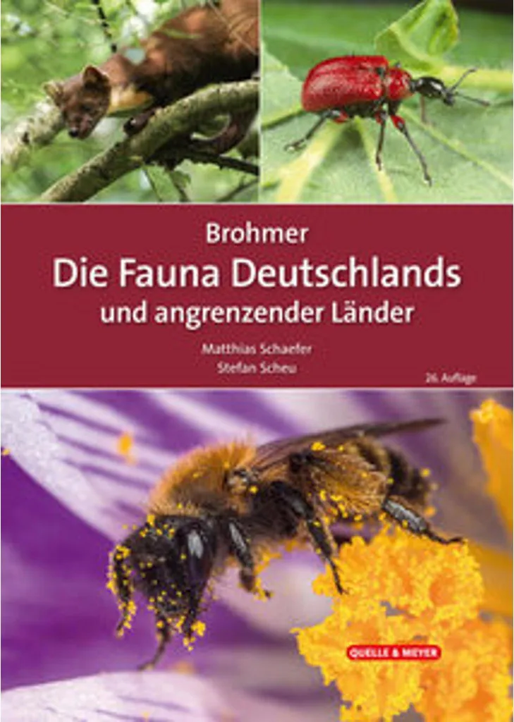 Identifier la faune d'Allemagne avec le guide Brohmer - Études et Nature