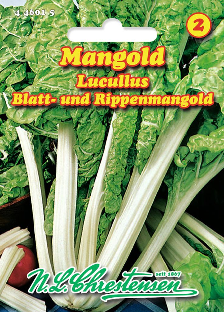 Saatgut Mangold Lucullus Chrestensen AR8087