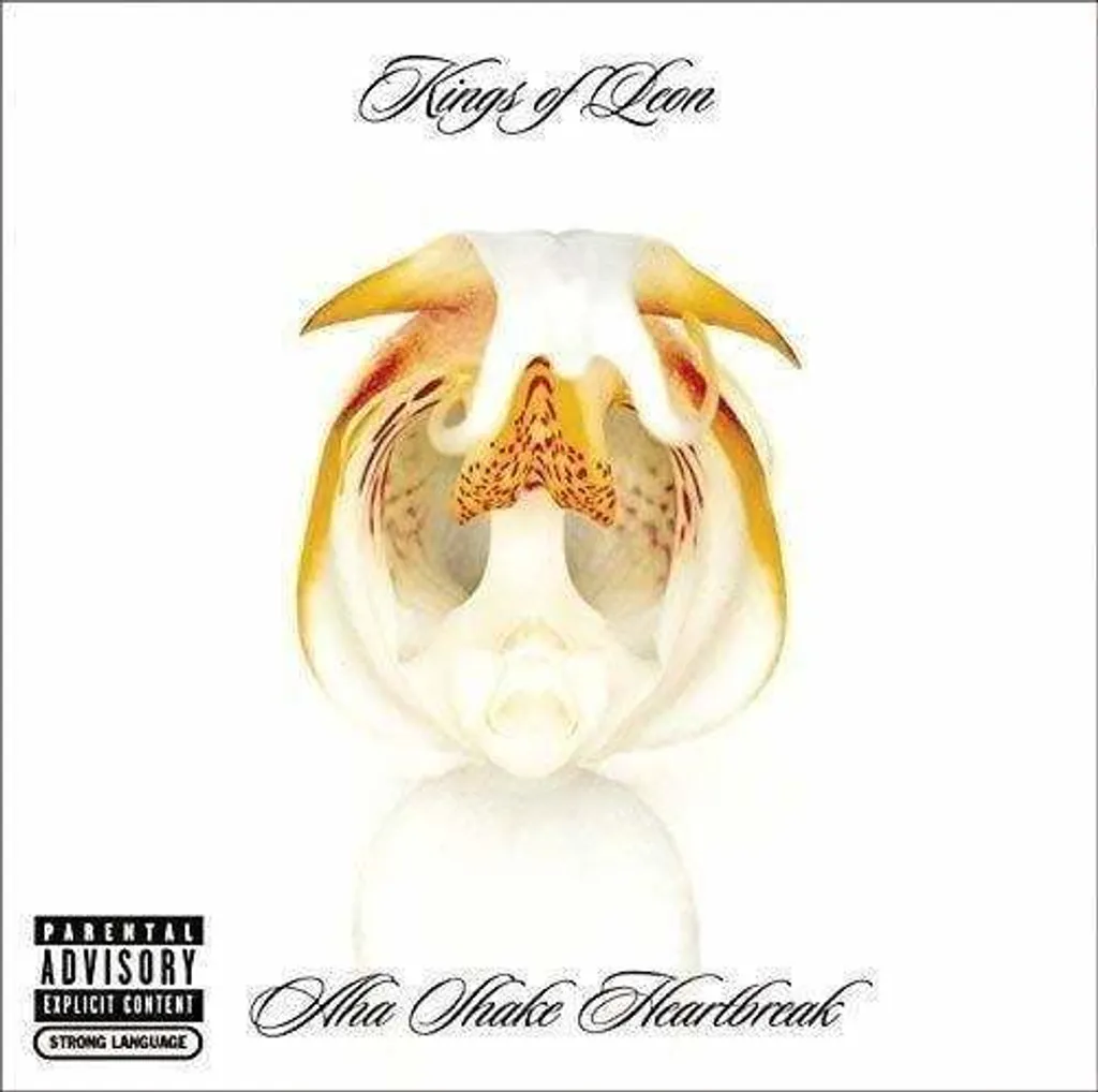 Aha Shake Heartbreak Kings Of Leon Vinyle Edition Audio Haute Fidélité