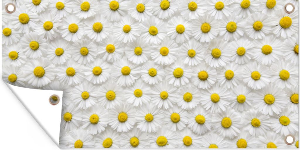 MuchoWow 60x30 cm Outdoor-Poster Gartendeko Sichtschutz Garten Poster für den Garten Ein florales Muster aus Gänseblümchen