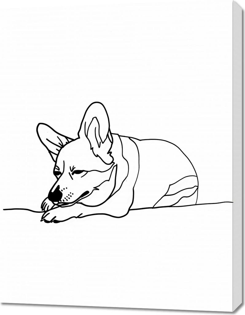 Bild 70x90cm Schlafender Corgi