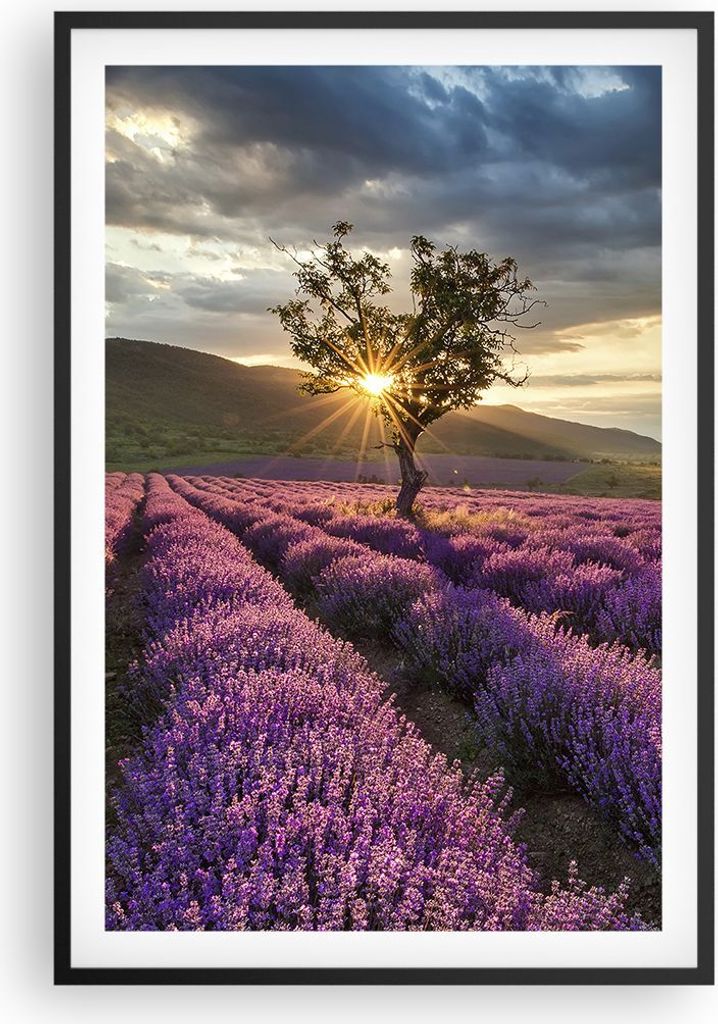 Gerahmtes Poster - Schwarzer Rahmen - Lavendel Berge Feld - 61x91,5 cm - Wand Bild - Wanddeko - Wandbilder - Kunstposter - Wandposter - Bilderrahme...
