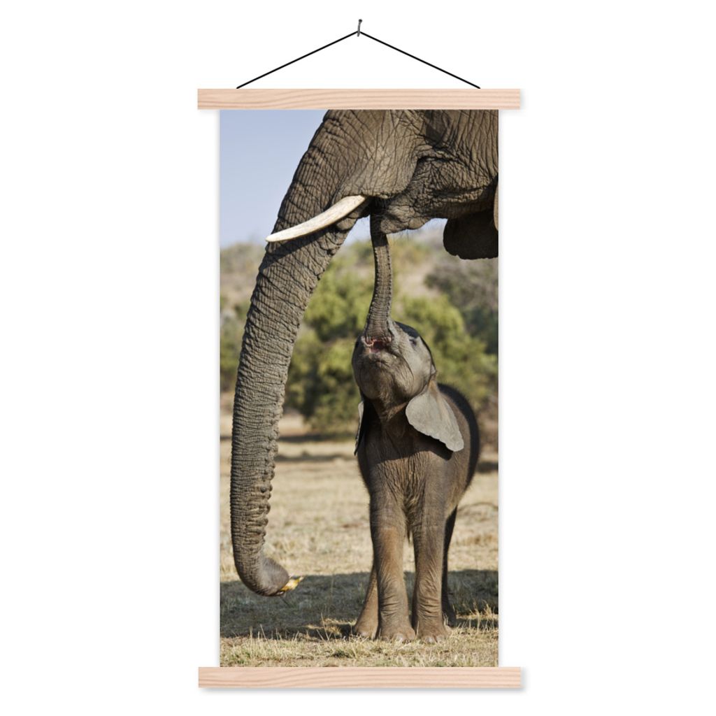MuchoWow Textilposter Elefant - Tiere - Gras - Natur 40x80 cm mit holzfarbenen Rahmen - Wohnzimmer