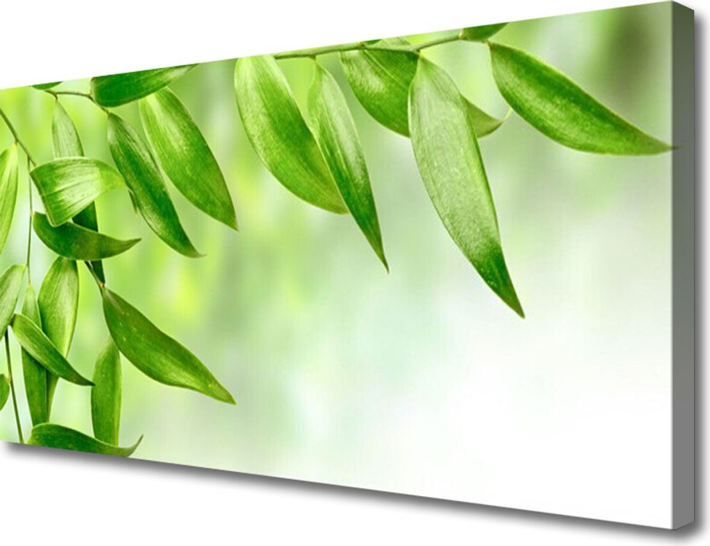 Tulup Leinwand-Bilder 100x50 Wandbild Canvas Kunstdruck Blätter Pflanzen