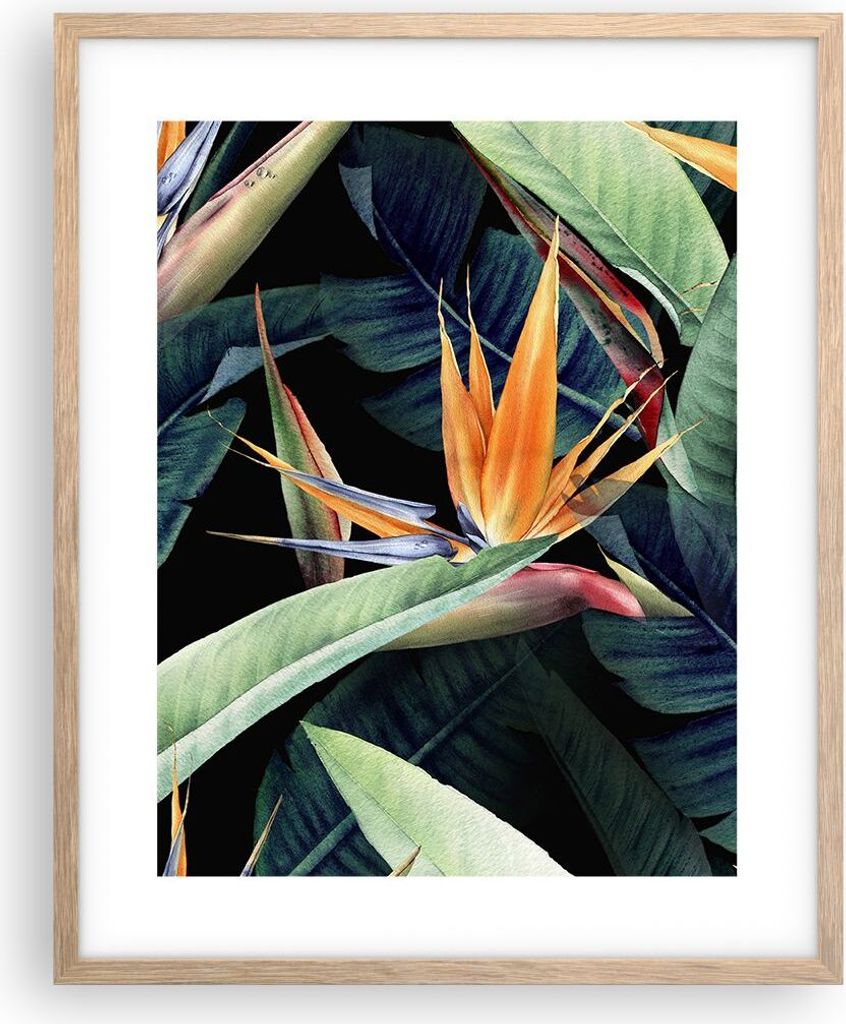 Gerahmtes Poster - Rahmen in heller Eiche - Pflanze Tropisch Blume - 40x50 cm - Wand Bild - Wanddeko - Wandbilder - Kunstposter - Wandposter - Bild...