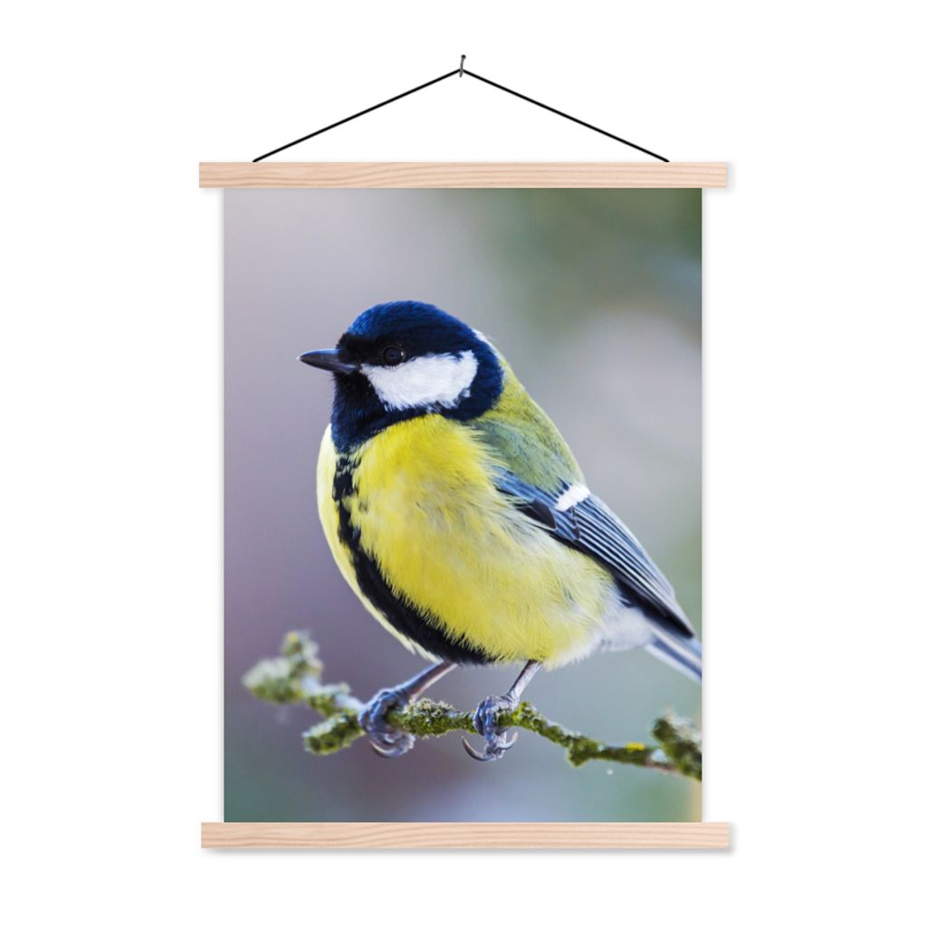 MuchoWow Textilposter Kohlmeise - Vogel - Zweig 40x53 cm mit holzfarbenen Rahmen - Schlafzimmer