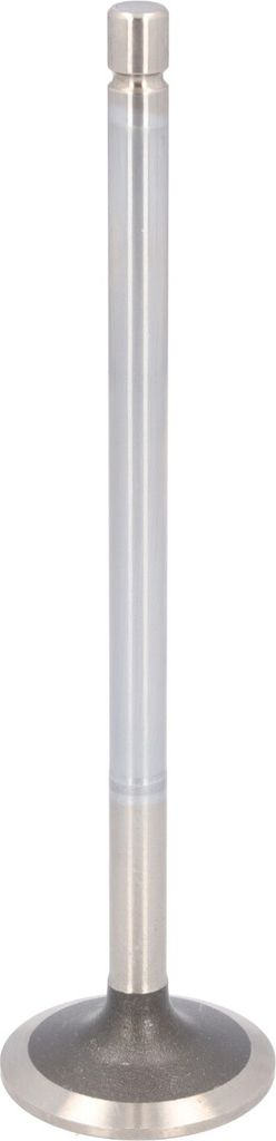 FEBI BILSTEIN 183925 Einlassventil für VOLVO FH 16 Produktbild 