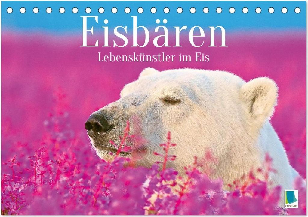Eisbären: Lebenskünstler im Eis (Tischkalender 2026 DIN A5 quer), CALVENDO Monatskalender