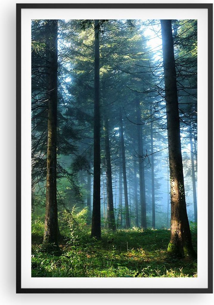 Gerahmtes Poster - Schwarzer Rahmen - Wald Dämmerung die Sonne - 61x91,5 cm - Wand Bild - Wanddeko - Wandbilder - Kunstposter - Wandposter - Bilde...
