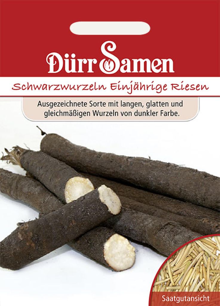 Dürr-Samen - Schwarzwurzeln Einjährige Riesen - Saatgut - Produktbild 
