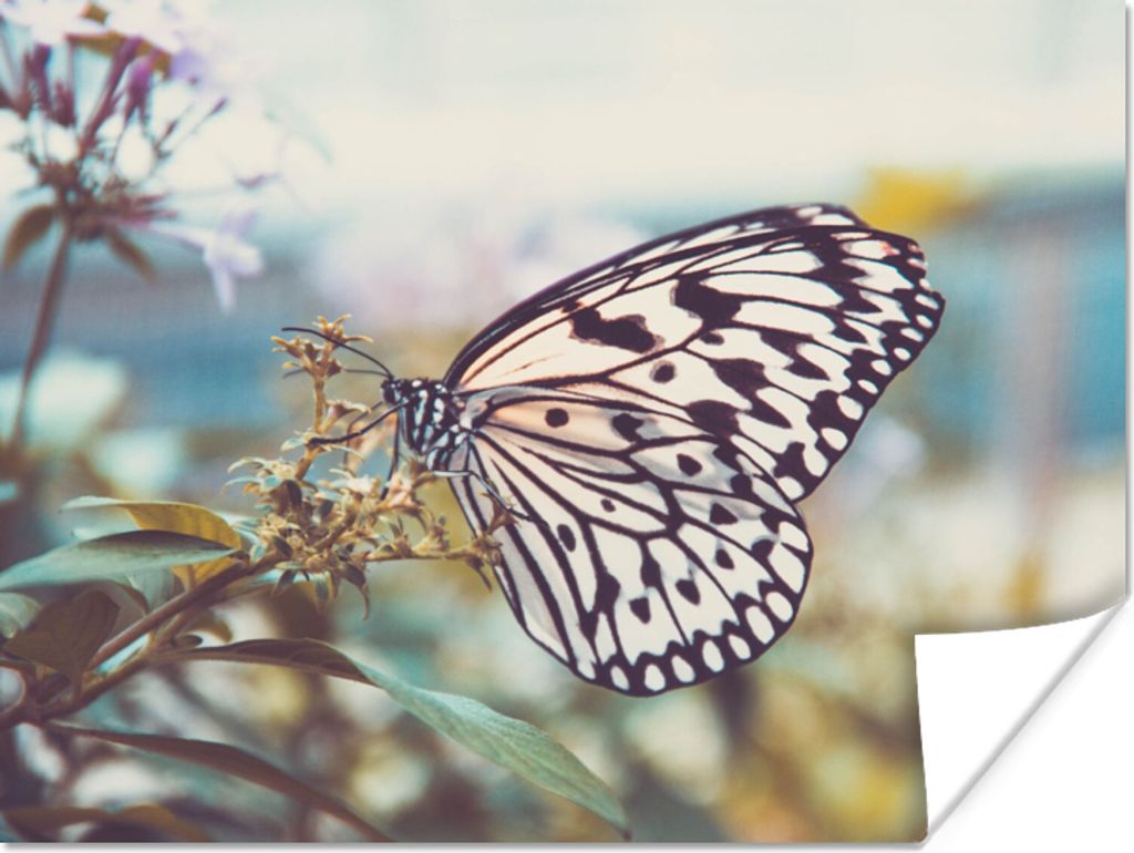 MuchoWow Poster Schmetterling - Blumen - Frühling 40x30 cm - Plakate für die Wände - Poster Wohnzimmer