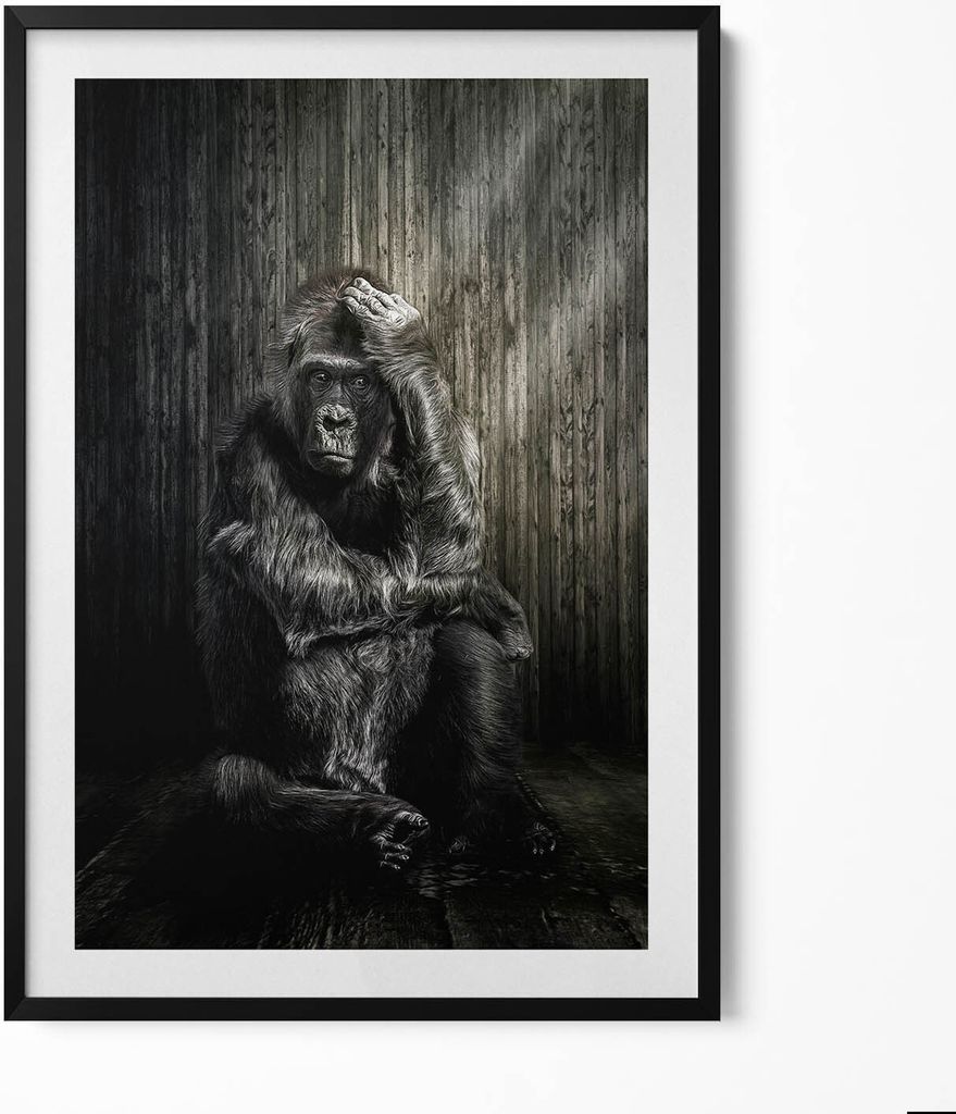 Affe hockt im Schatten– Wandbild mit Rahmen – Gerahmtes Produktbild 