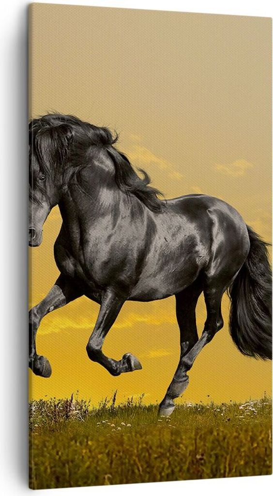 Bild auf Leinwand - Leinwandbild - Tiere Pferd Laufen Wiese - 45x80cm - Wand Bild - Wanddeko - Leinwanddruck - Bilder - Kunstdruck - Wanddekoration...