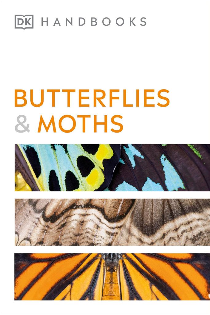 Butterflies and Moths (DK Handbooks)