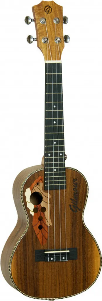 Ukulélé Gilmour OVA Concert - Instrument Acoustique en Bois de Qualité